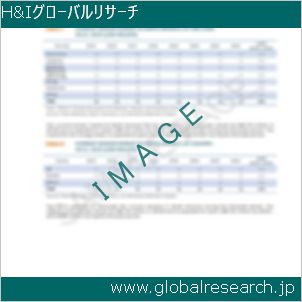 グローバルリサーチ調査レポートのイメージ